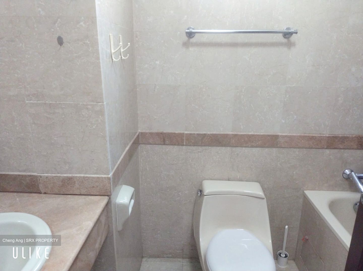 Tanglin Regency (D10), Condominium #602068411